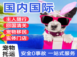 甘孜格萨尔航空快递国际宠物托运 【国